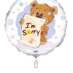 18C I AM SORRY TEDDY BEAR