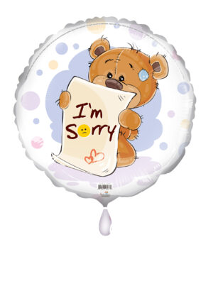 18C I AM SORRY TEDDY BEAR