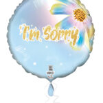 18C I'M SORRY RAINBOW SUNFLOWER