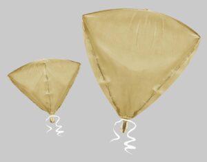 20D DIAMOND CHAMPAGNE